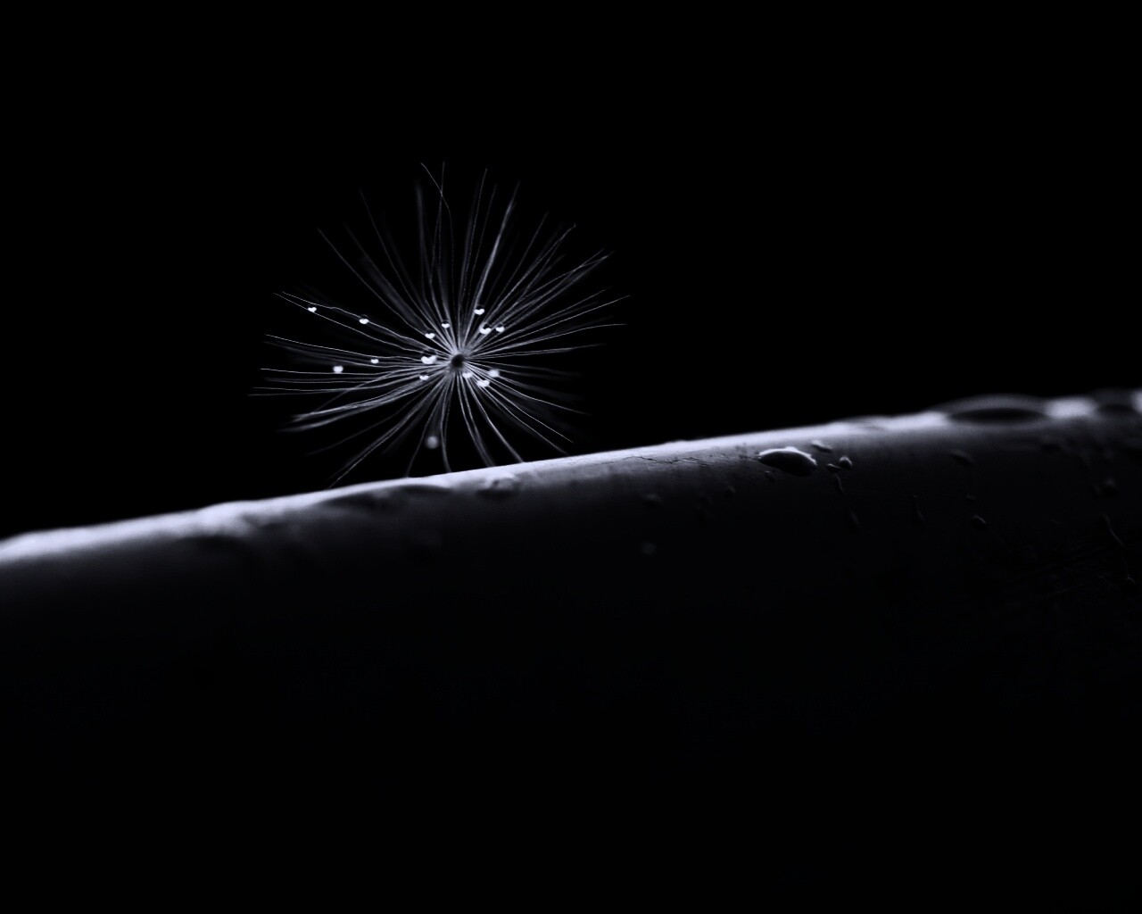 Прилипшая пушинка обои