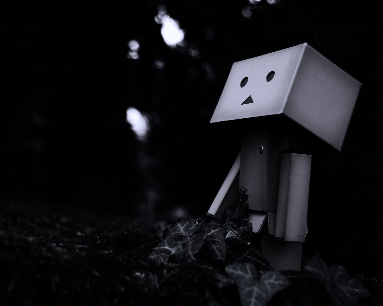 Danbo смотрит вверх обои