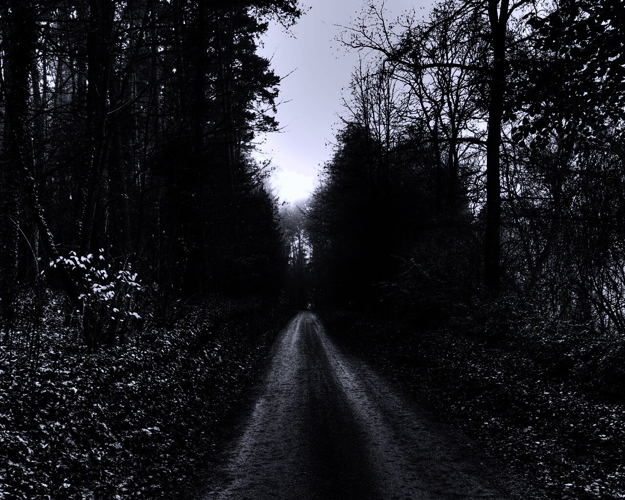 Лесная дорога обои