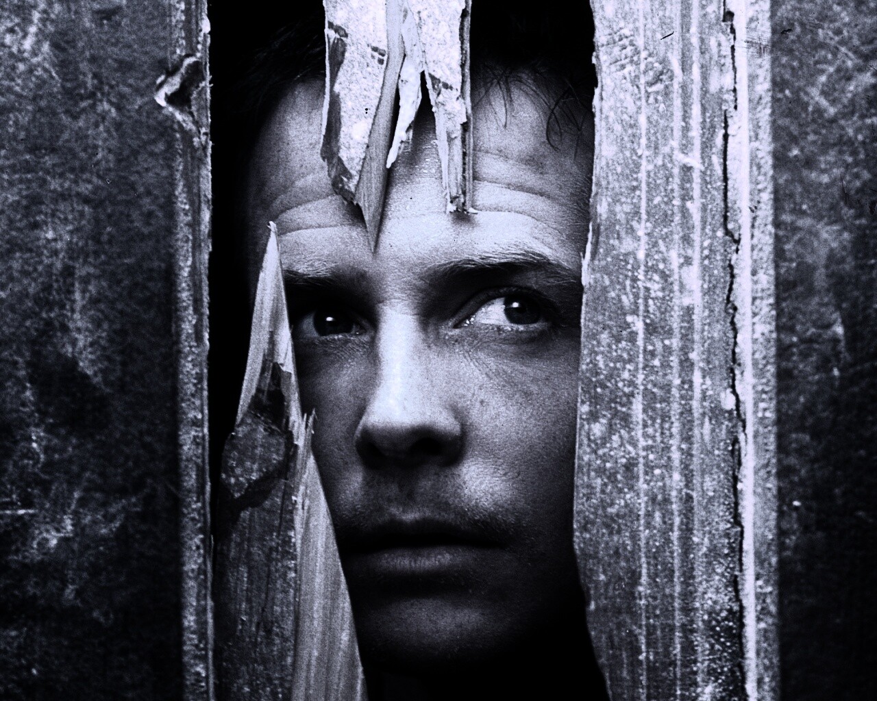 Страшилы обои