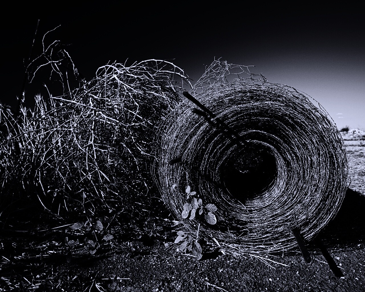 Клубок сена обои