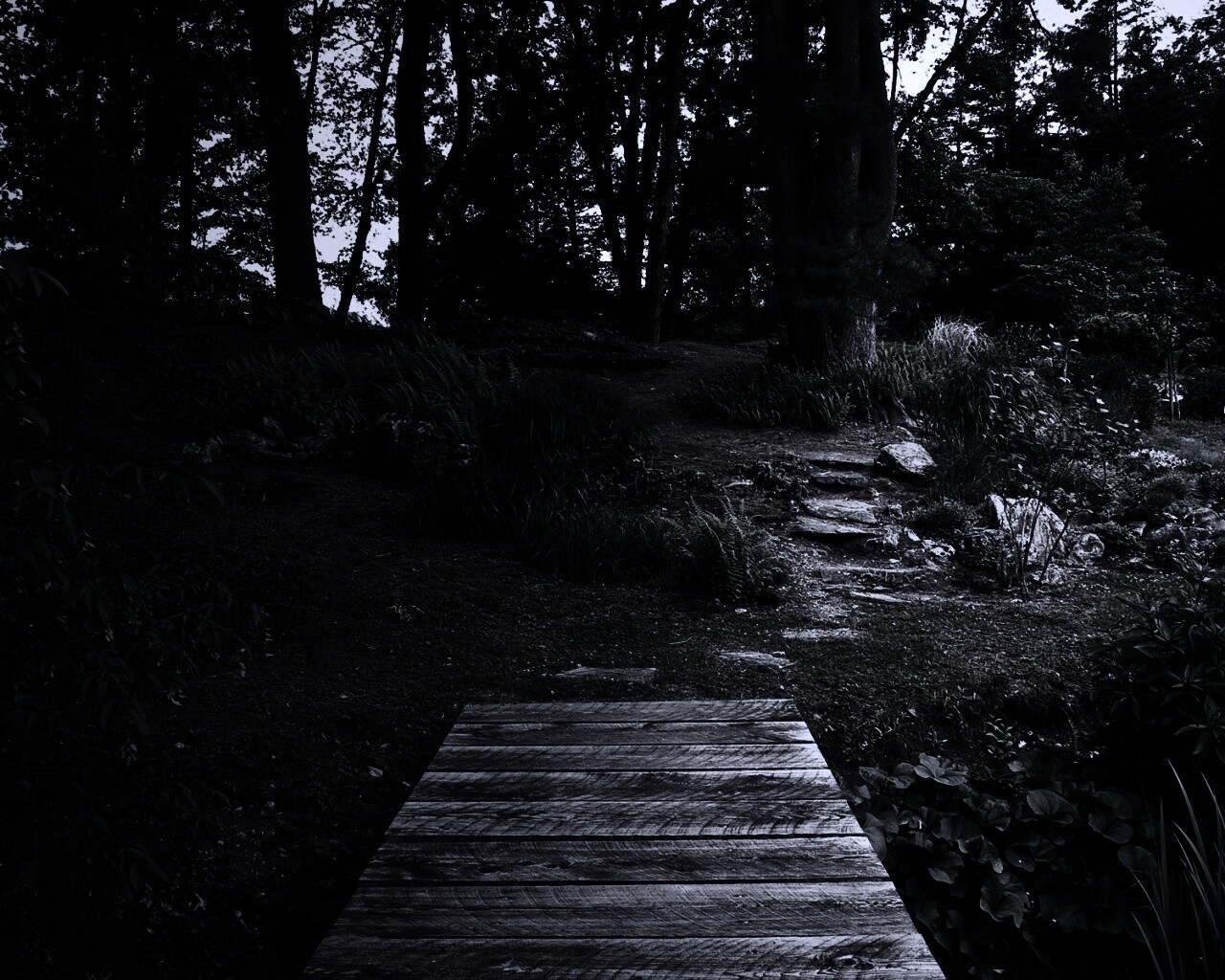 Лесные тропы обои