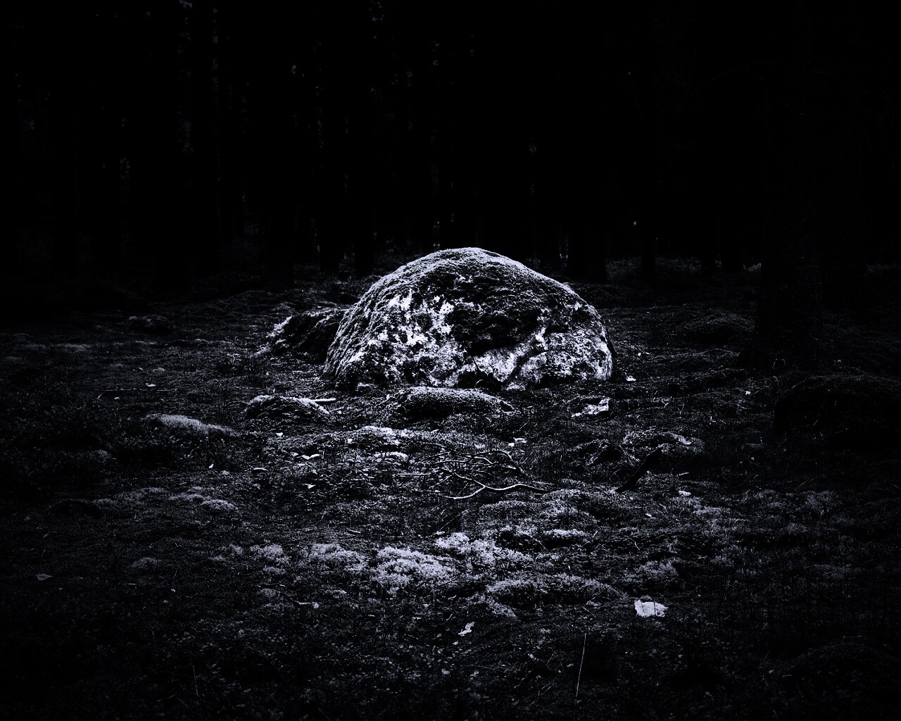 Лесная опушка обои