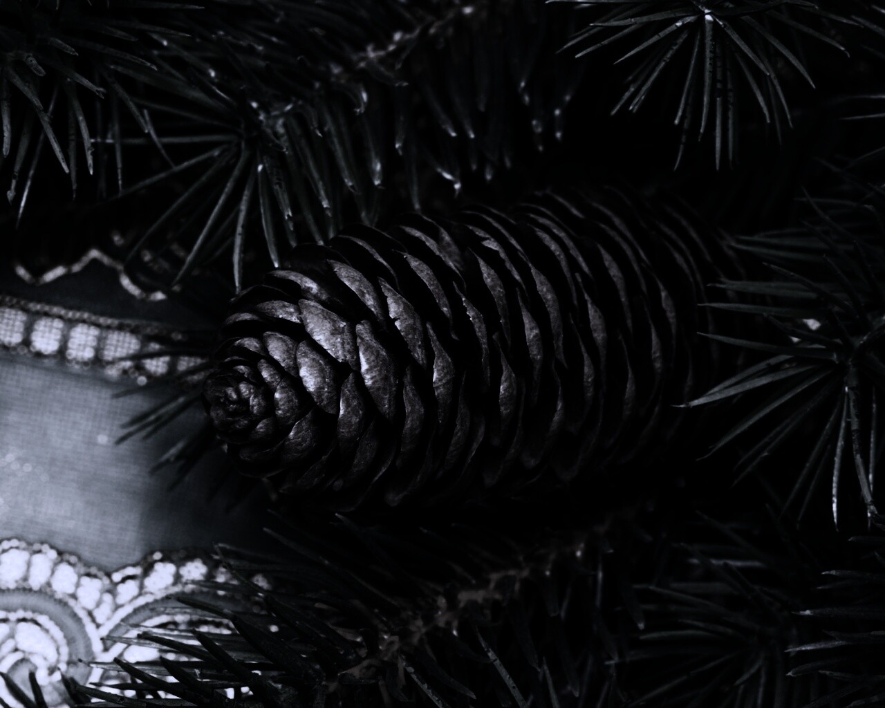 Шишка на елке обои