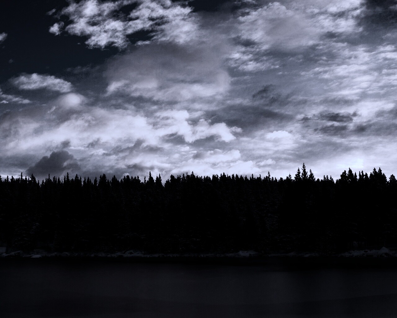 Лес на озере обои