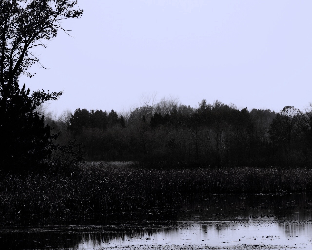 Живописные болота обои