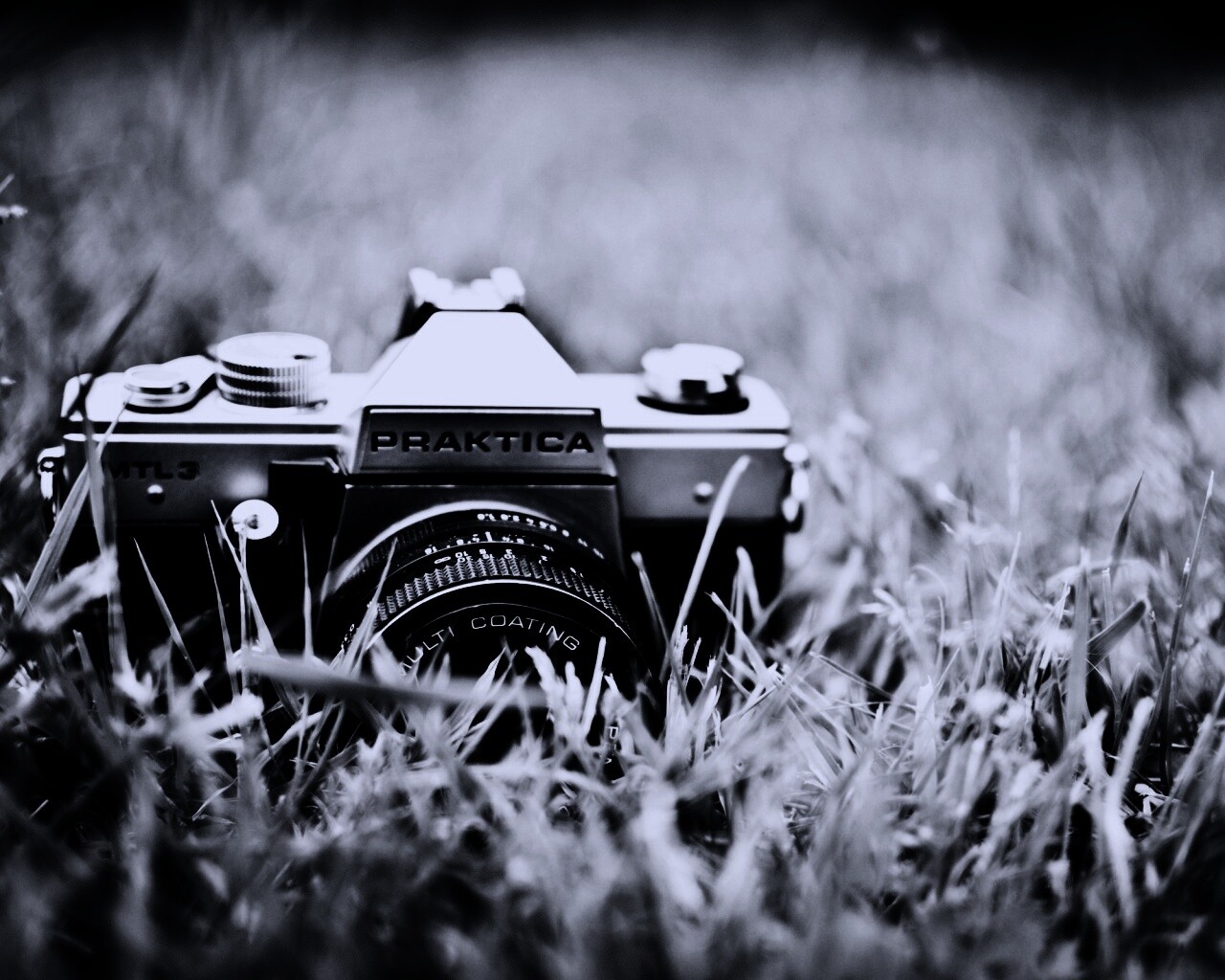 Фотоаппарат Praktica в траве обои