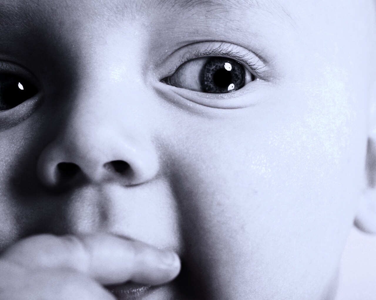 Что-то замышляет... обои