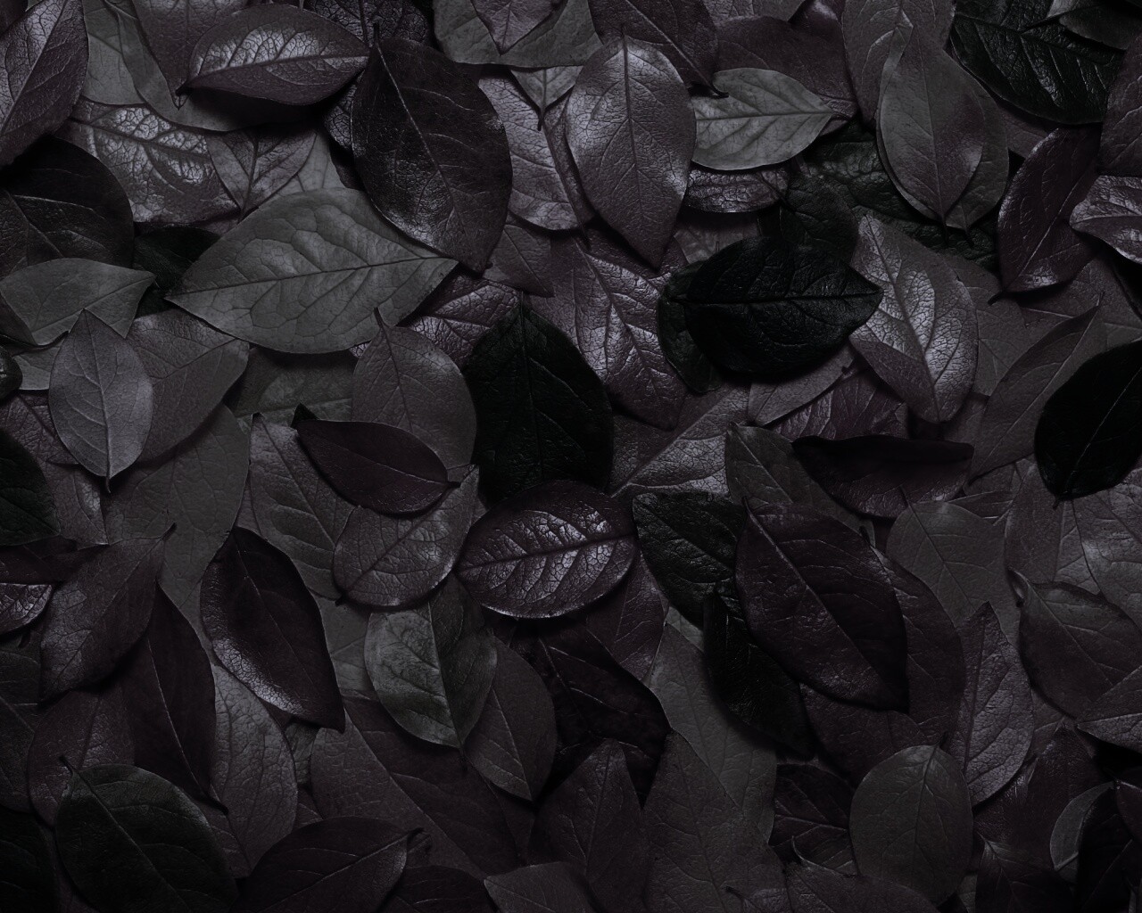 Цветной ковёр из листьев обои