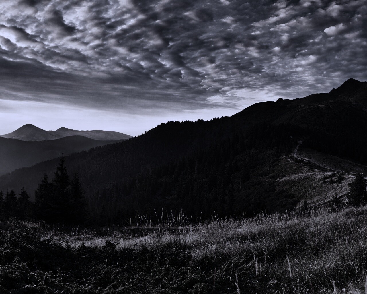 Предгорье обои