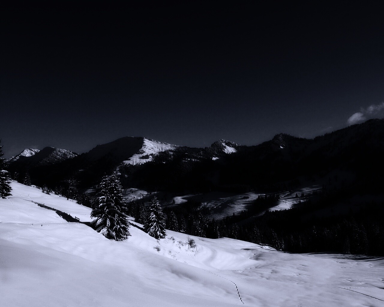 Лес в горах обои