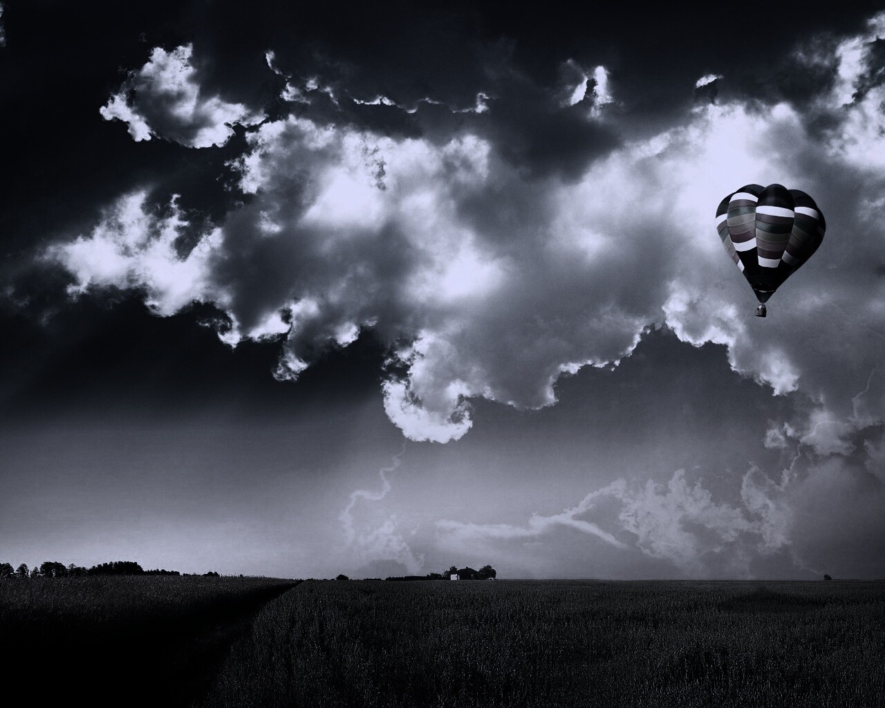 Воздушный шар над зеленым лугом обои