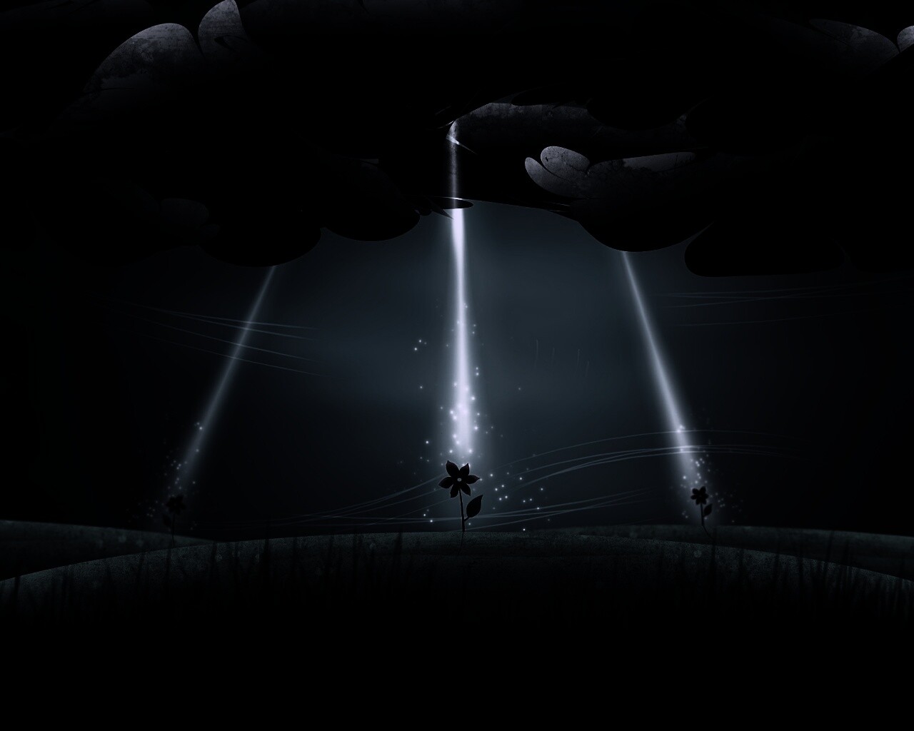 Свет для цветов обои