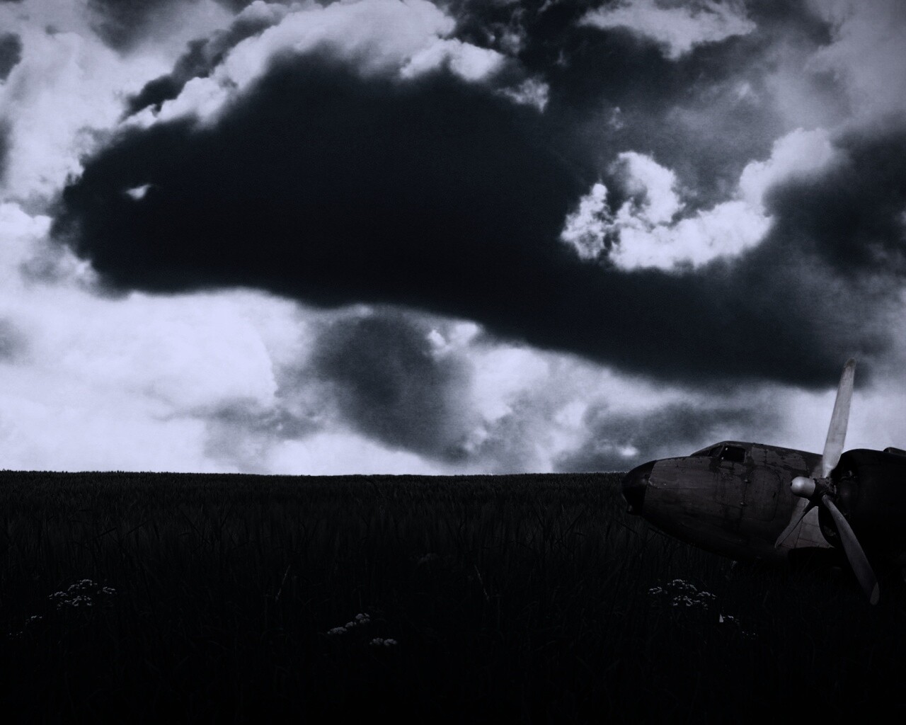 Старый ржавый самолет на лугу обои