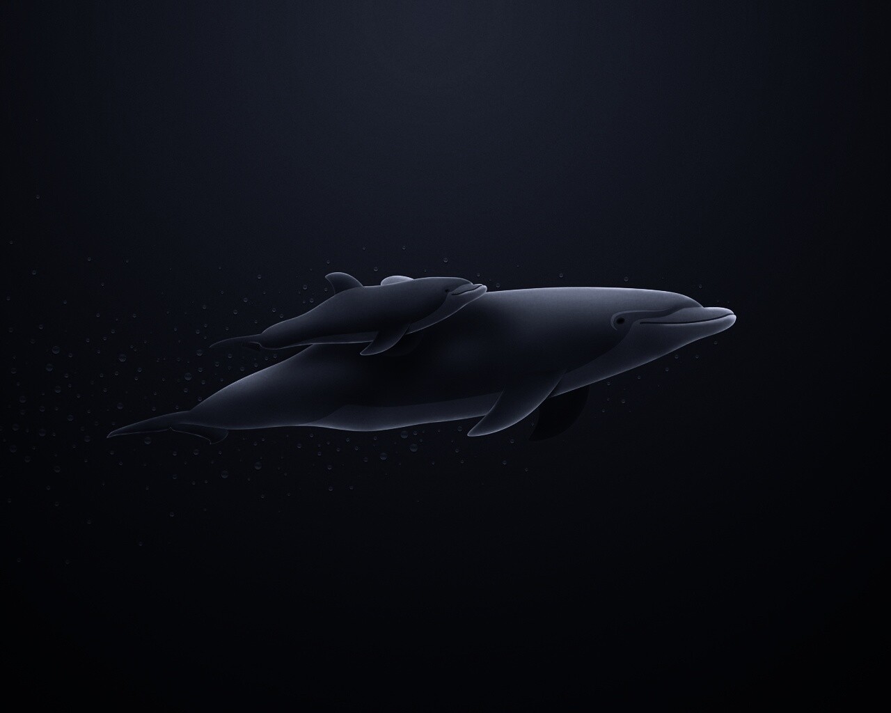 Дельфин и дельфиненок обои