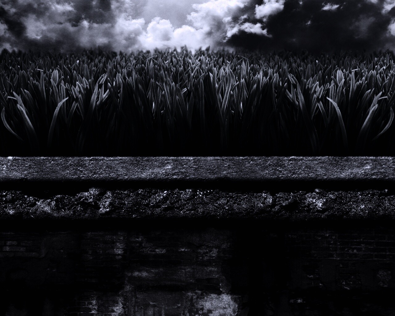 По другю сторону обои