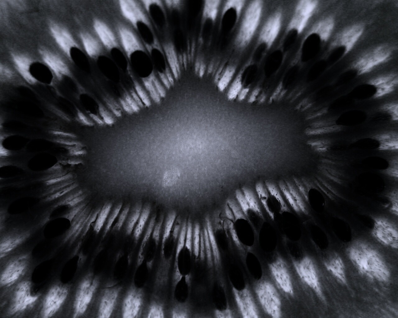 Макро фото киви в разрезе обои