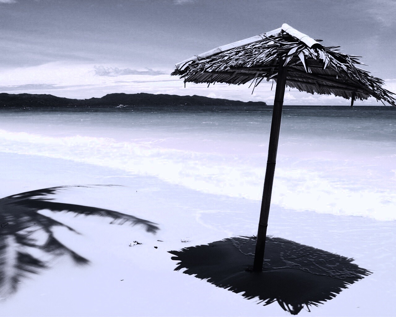 Тросниковый зонт обои