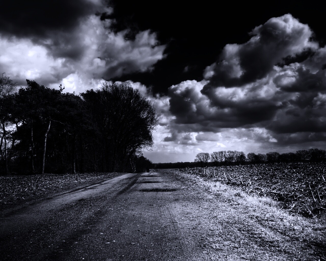 Дорога через поле обои