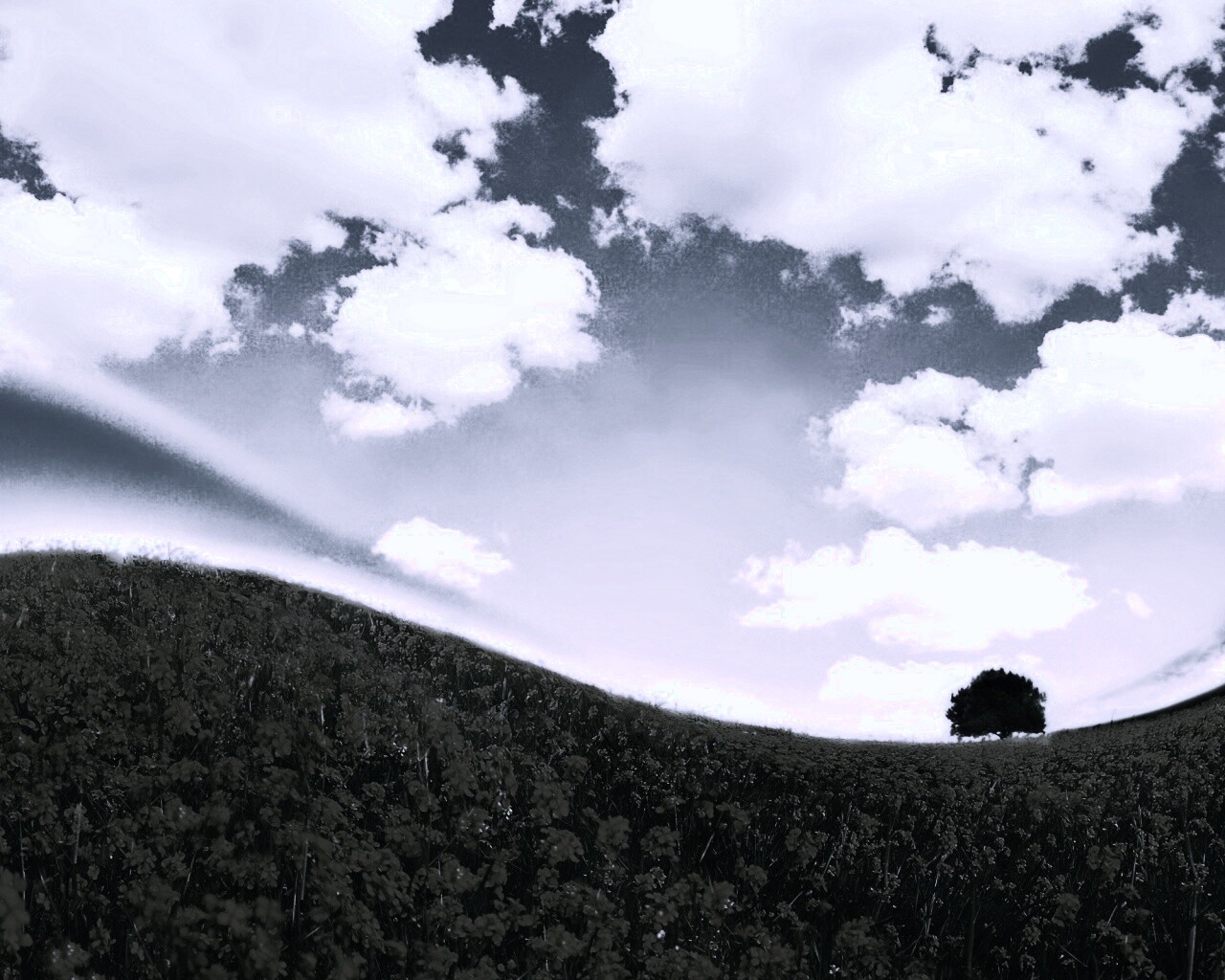 Искаженный мир обои