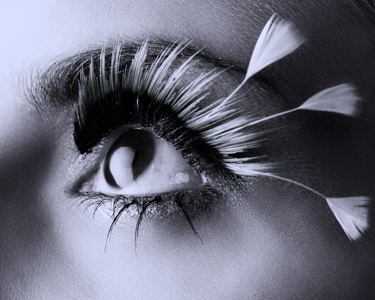Красивые ресницы обои