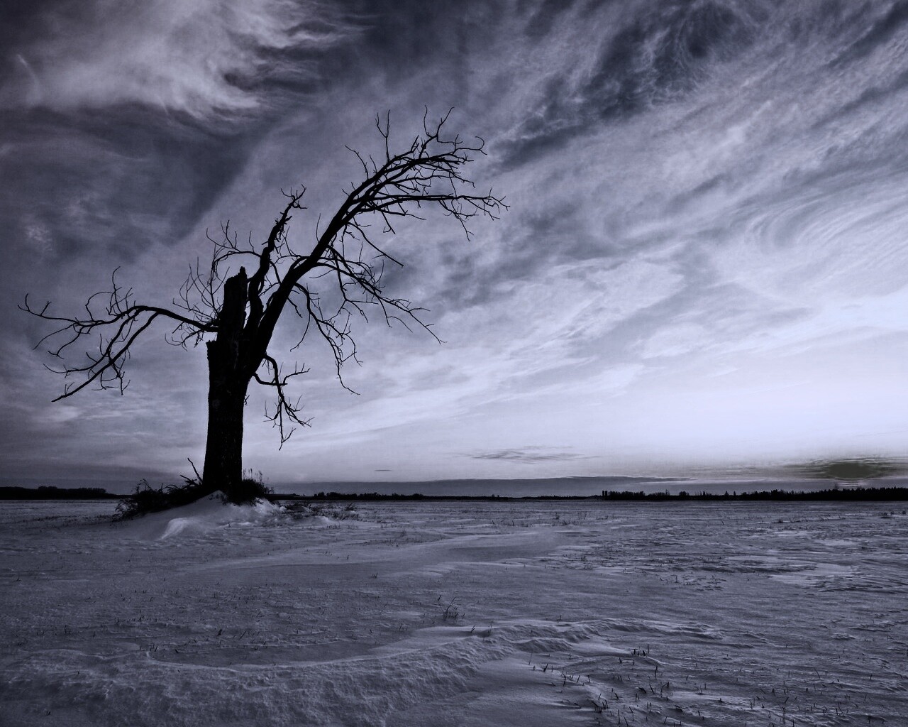 Сломанное дерево в снежной тундре обои
