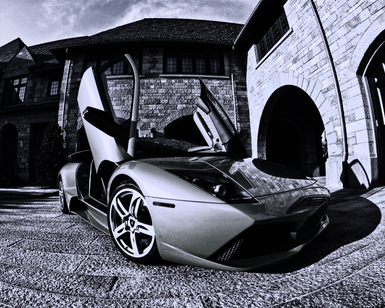 Зеленая ламба обои