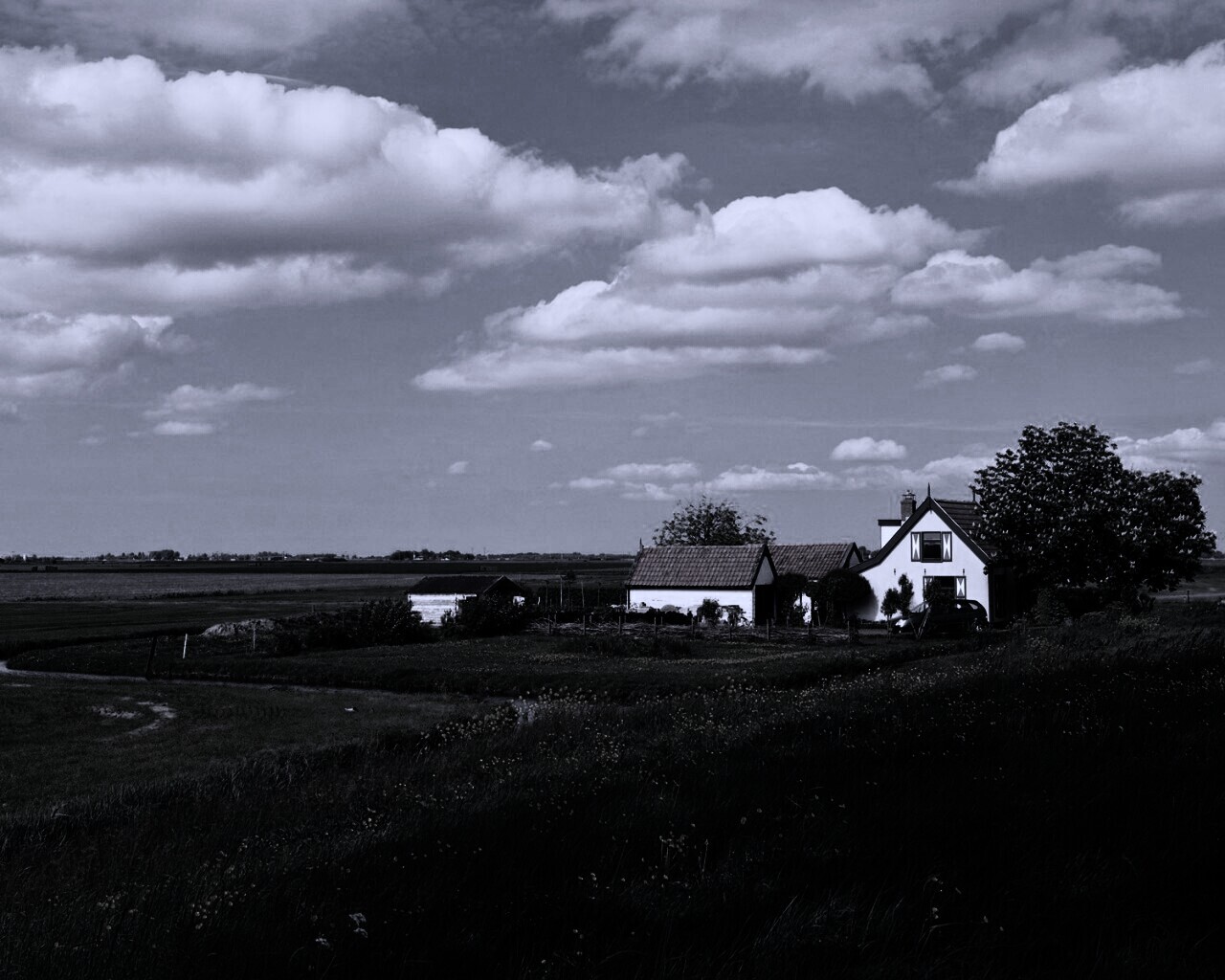 дом на лугу обои