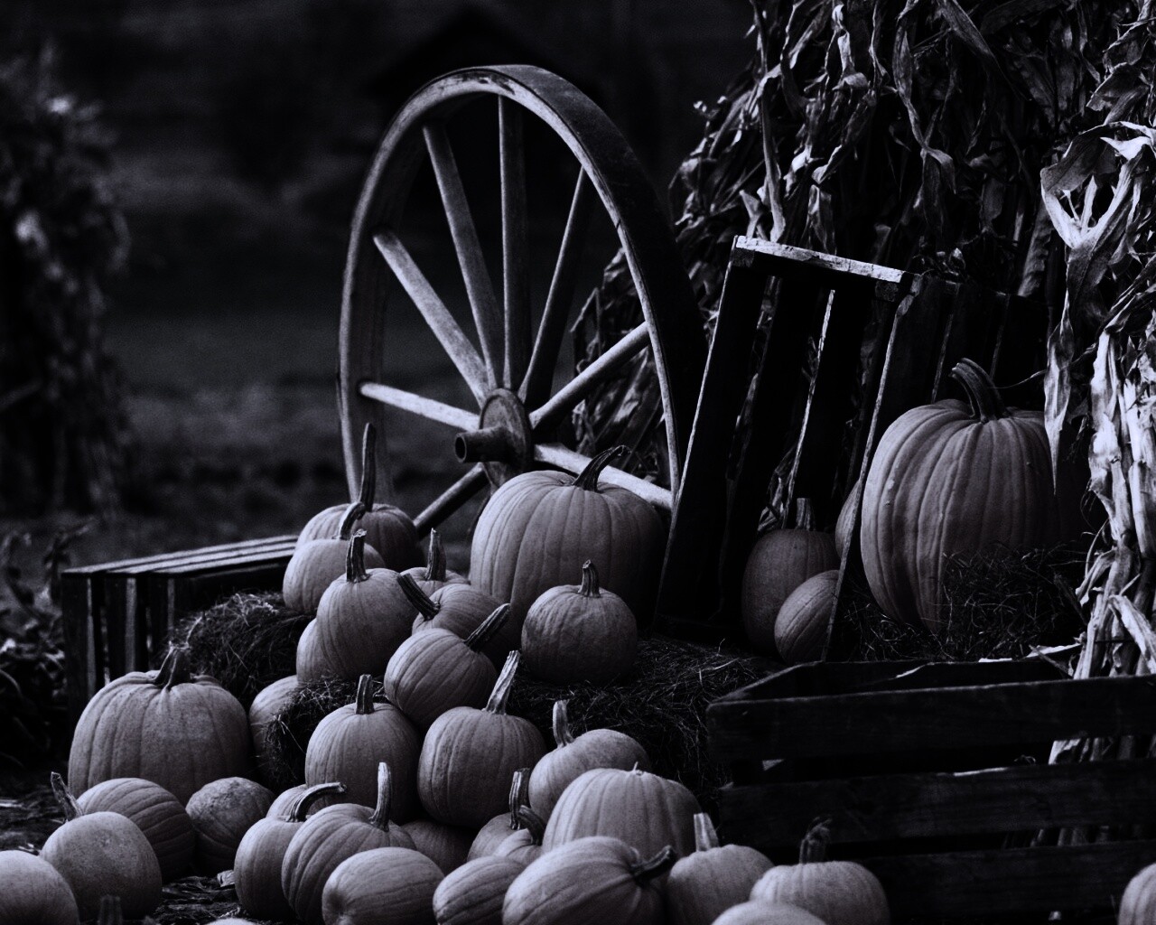 Урожай обои