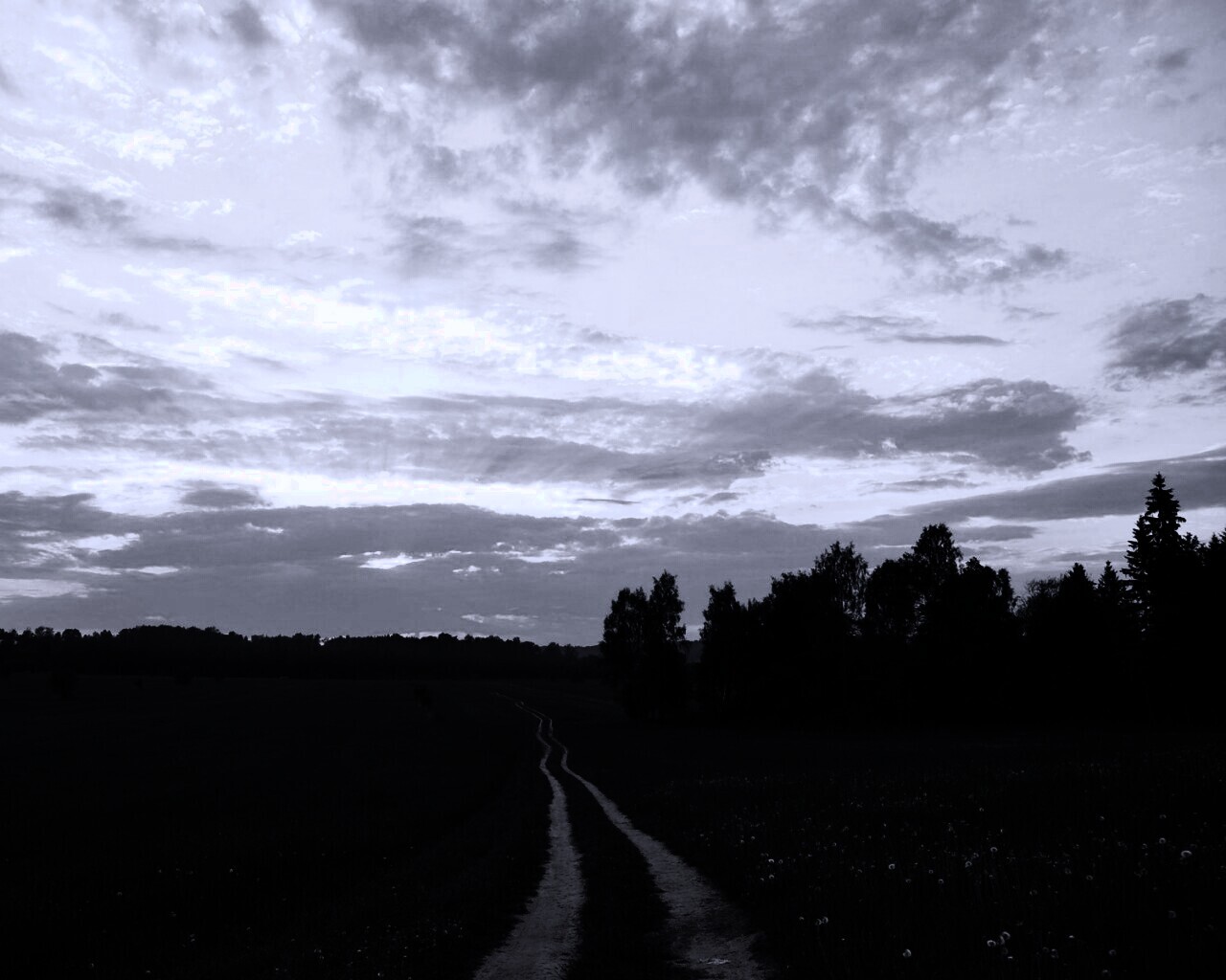 Дорога к лесу обои