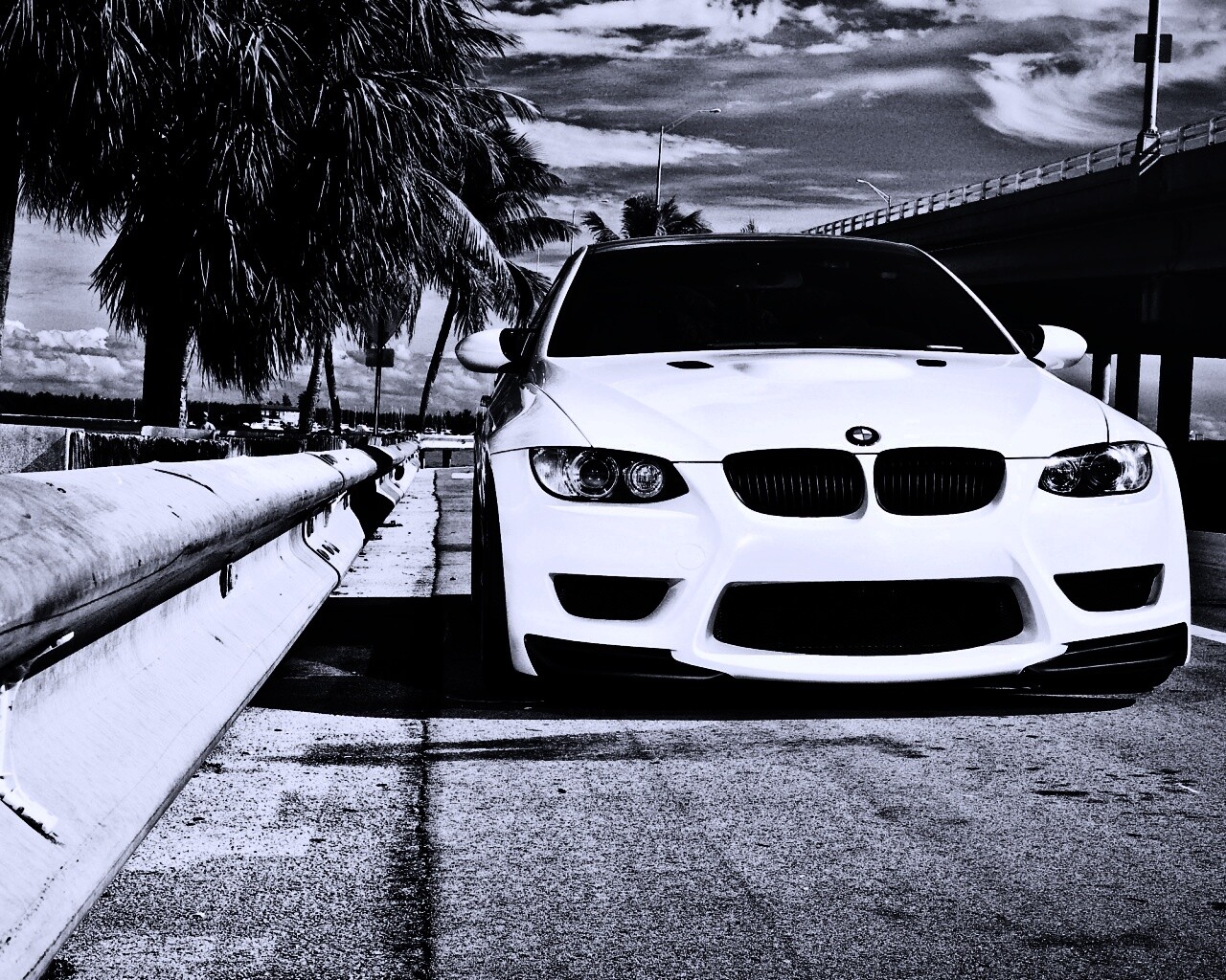 BMW в тропиках обои