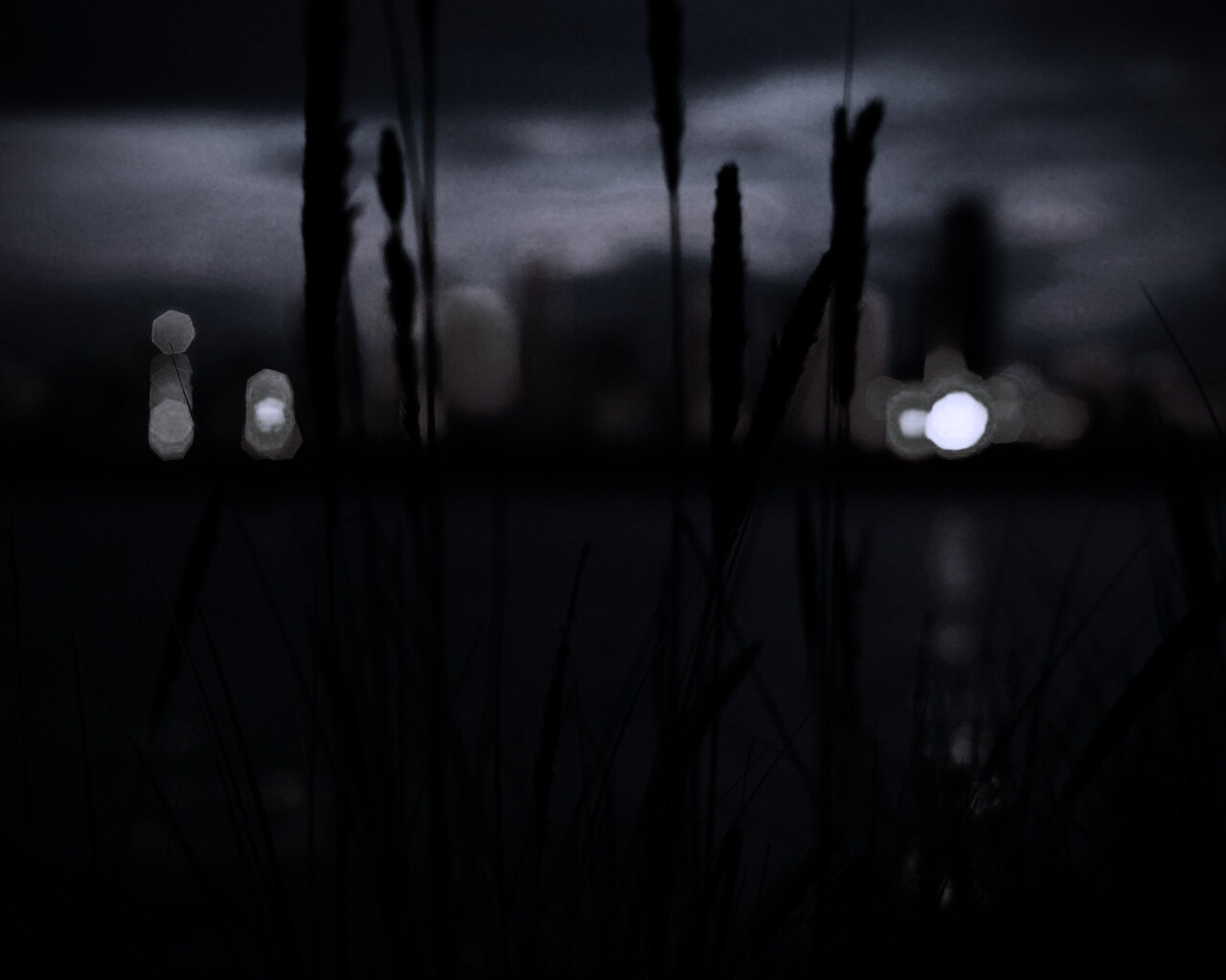 Камыш на фоне вечерних огней обои