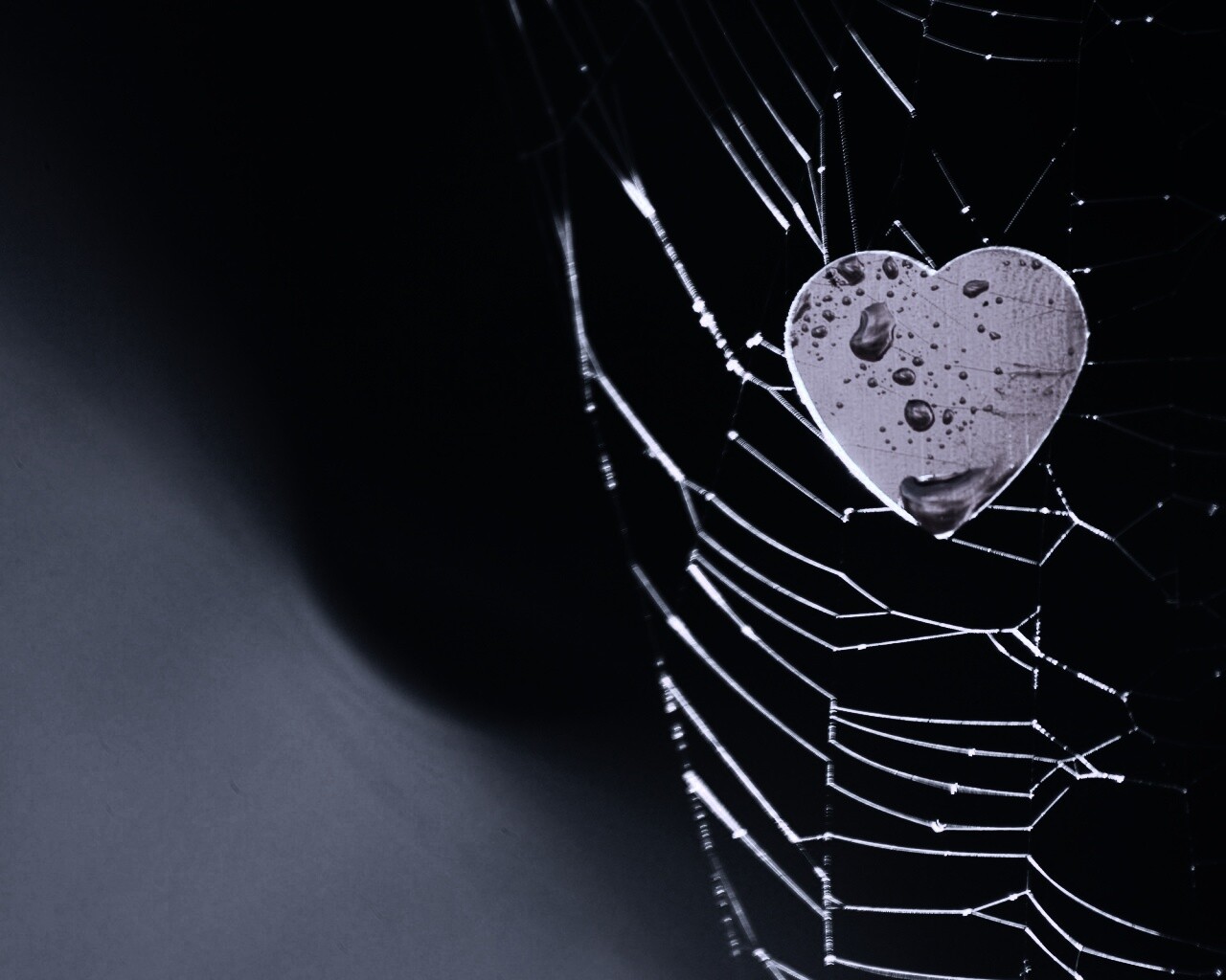 Сердце в паутине обои