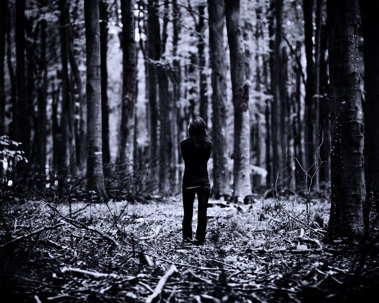 Одна в лесу обои