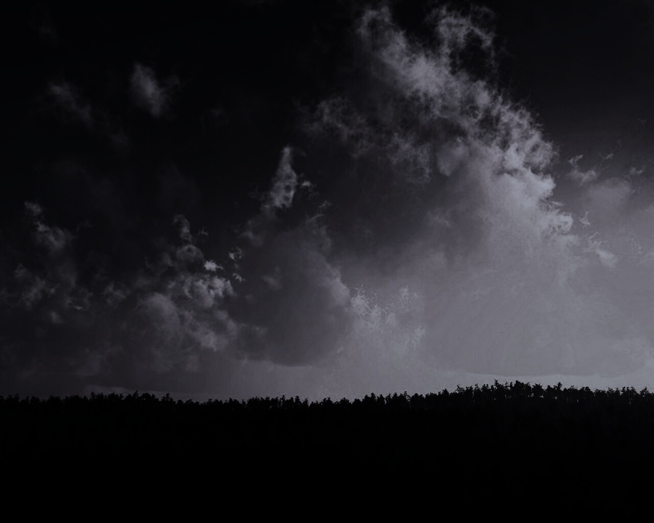 Закат над лесом обои