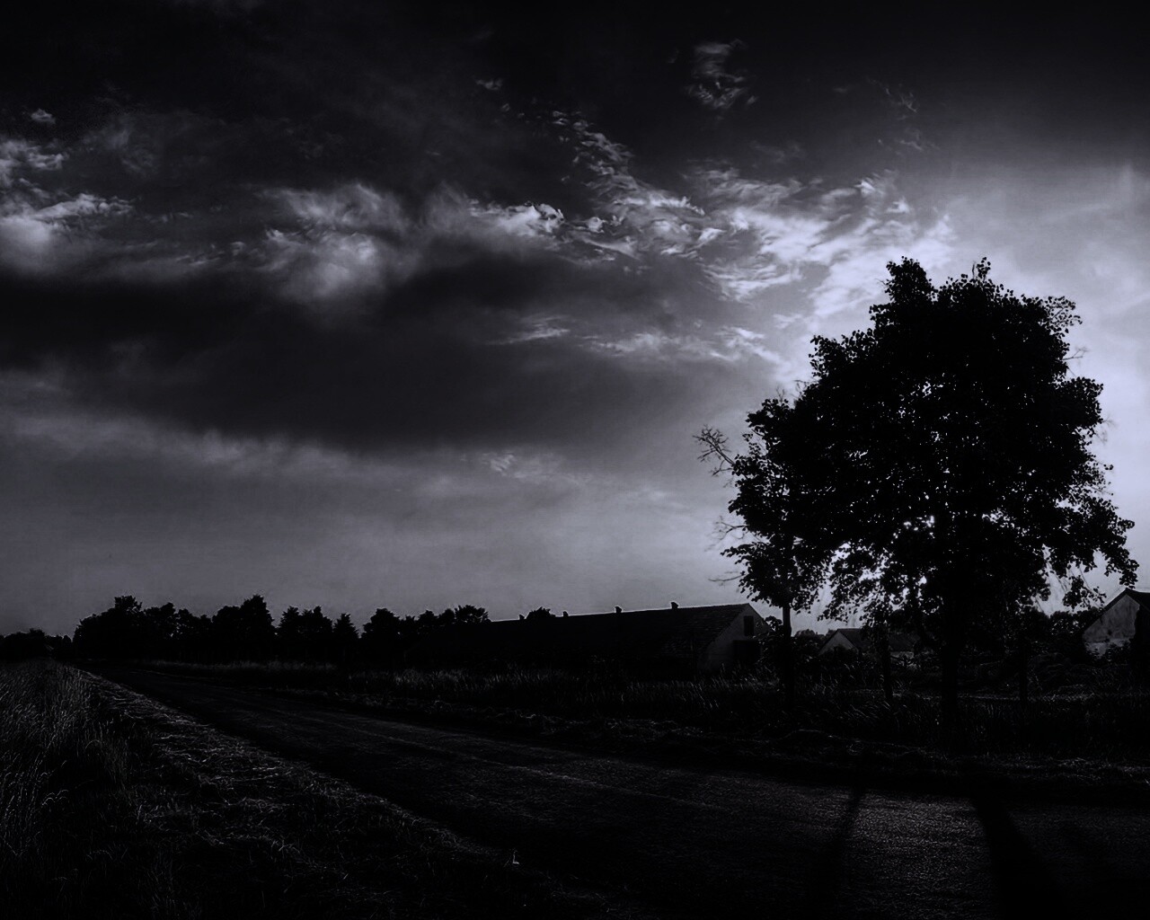 Закат на фоне дерева в HDR обои