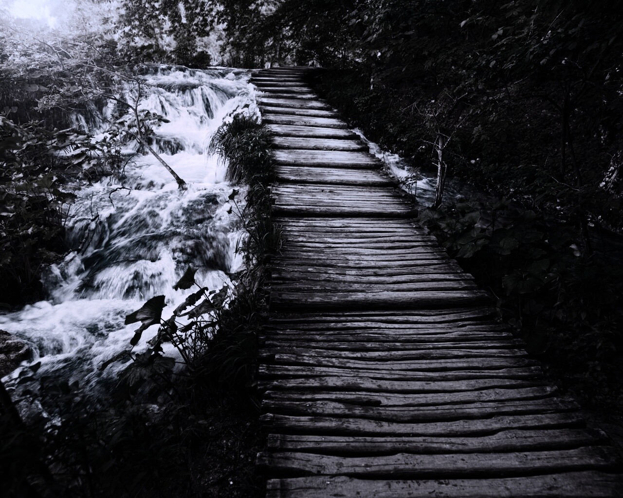 Деревянная дорожка над ручьем обои