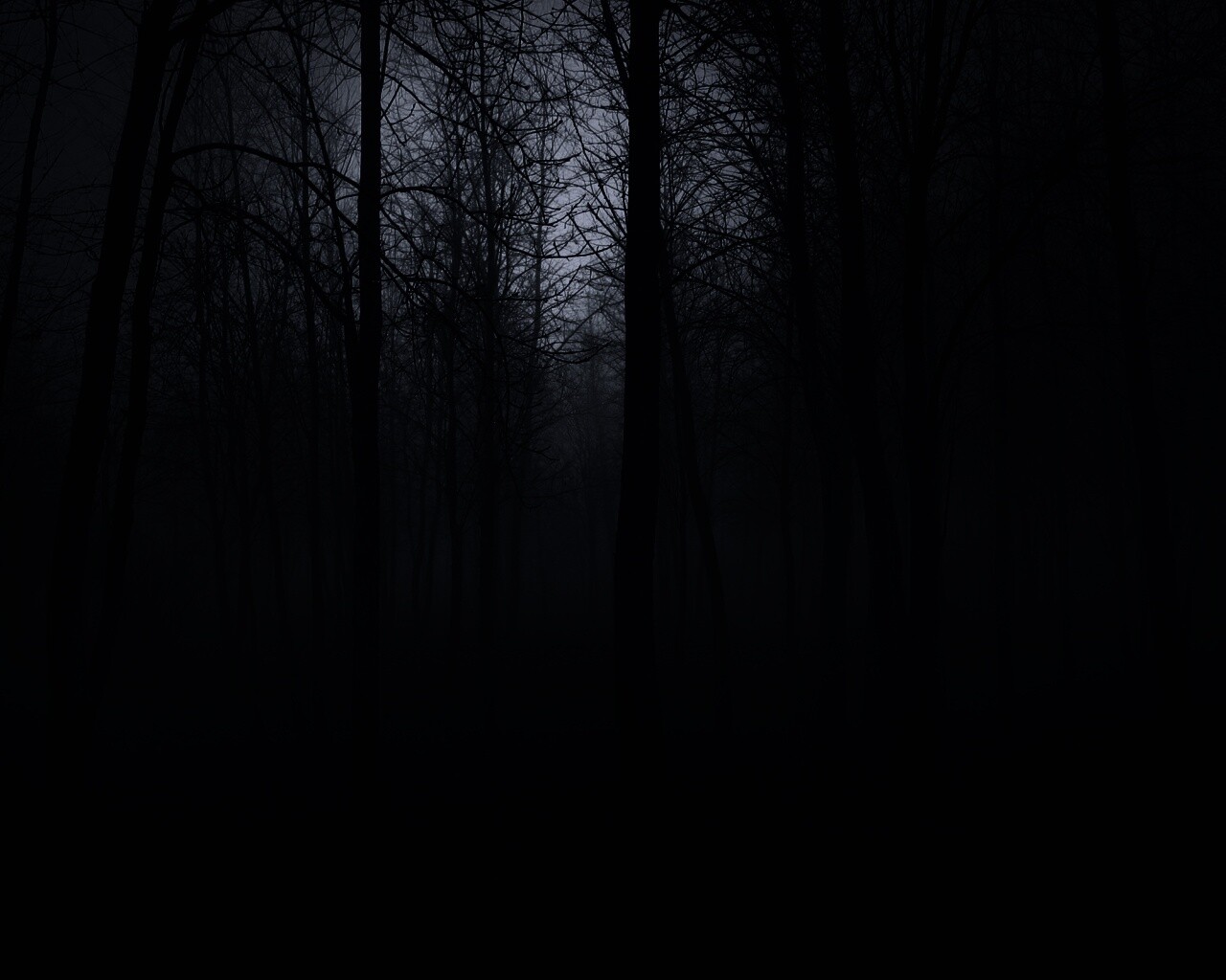 Страшный туманный лес обои