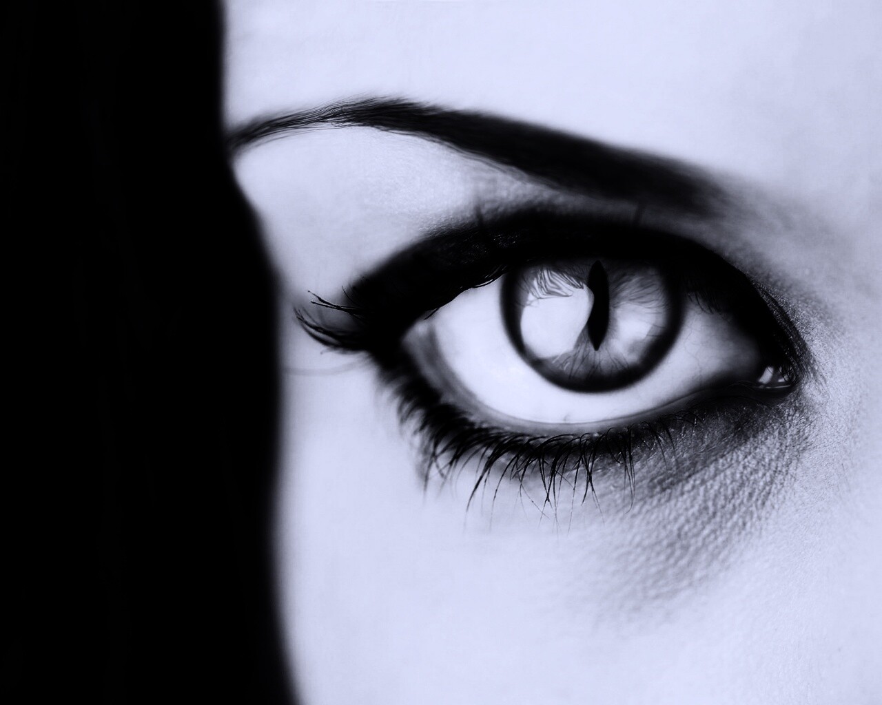 Кошачий глаз обои