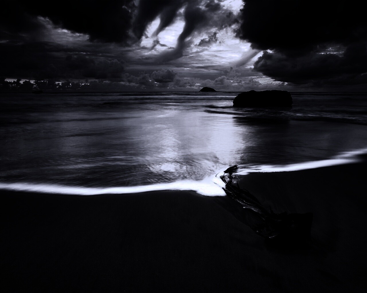 Коряга на пляже обои