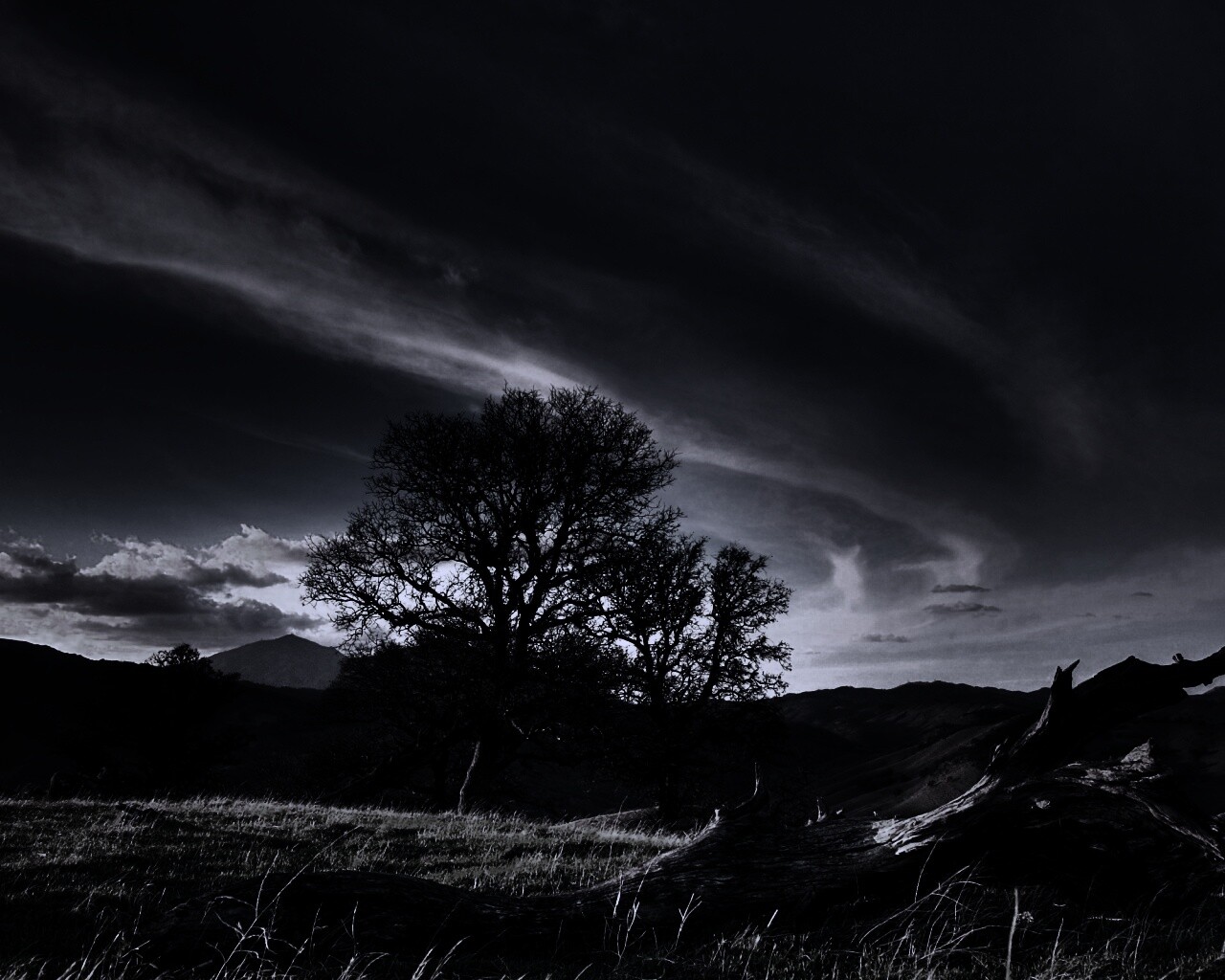 Чистая природа обои