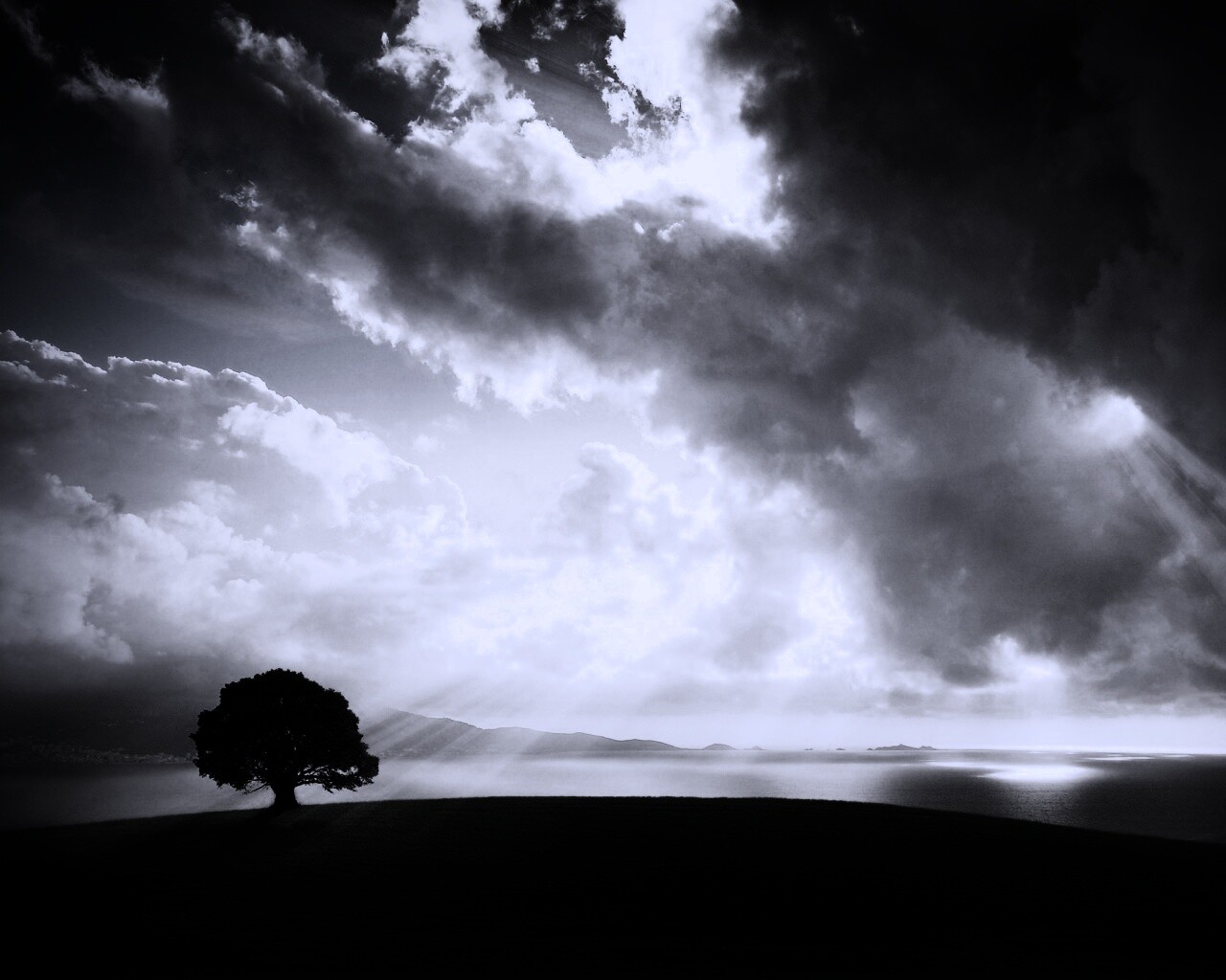 Холм и дерево обои