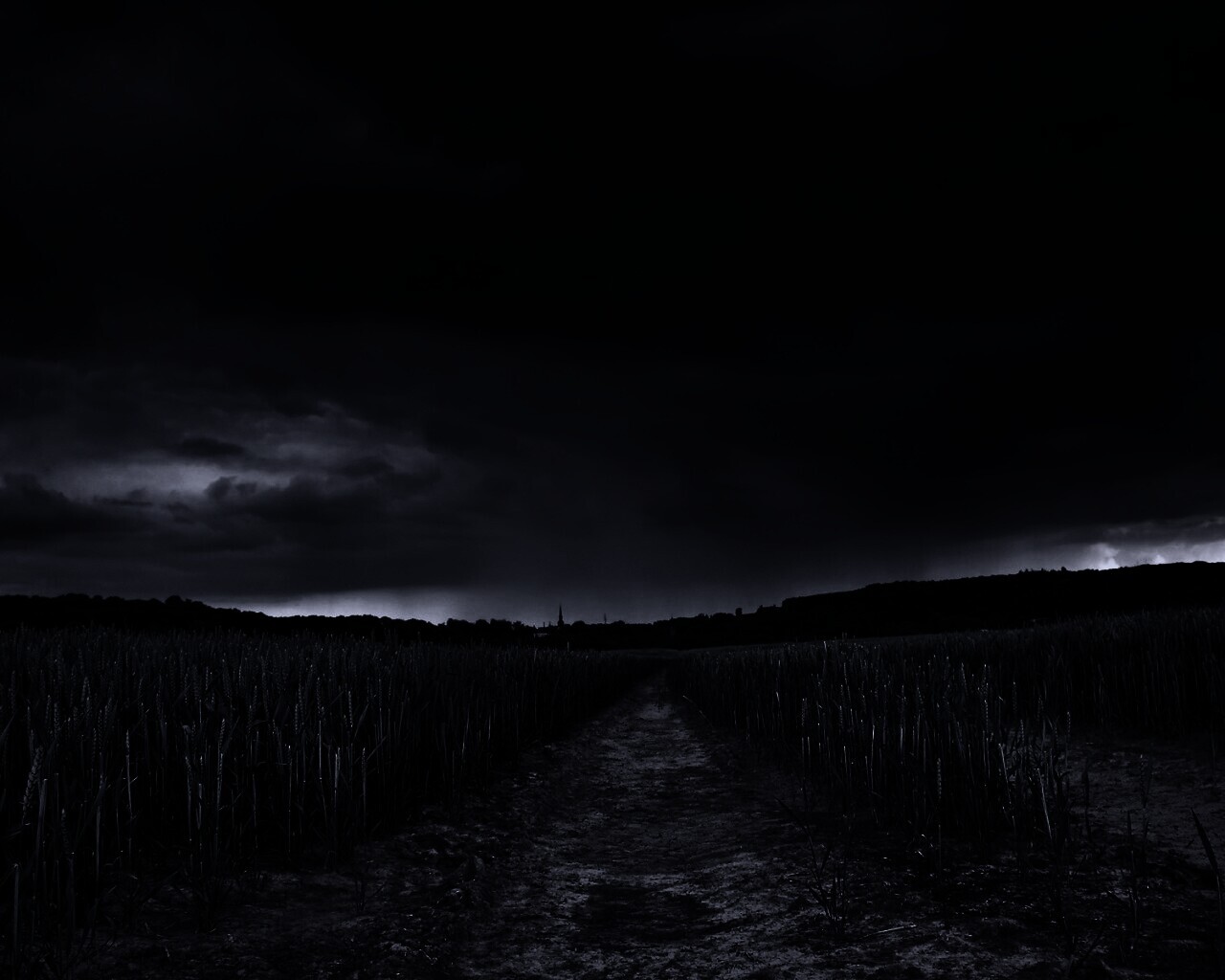 Поле ночью обои