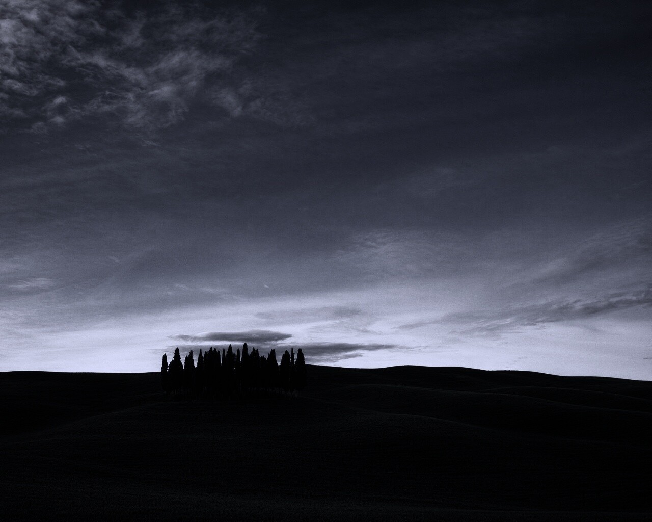 Обособленная рощица обои