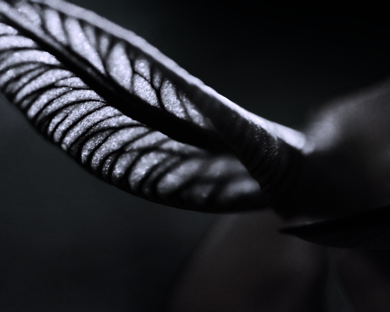 Сетчатый лист обои