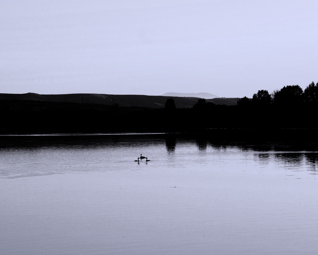 Утиное озеро обои