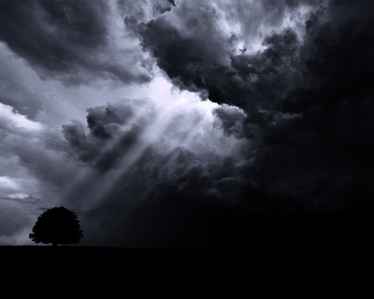 Избранный обои