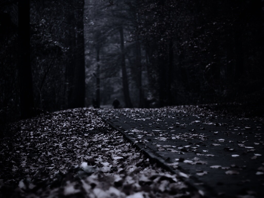 Осенняя дорога обои