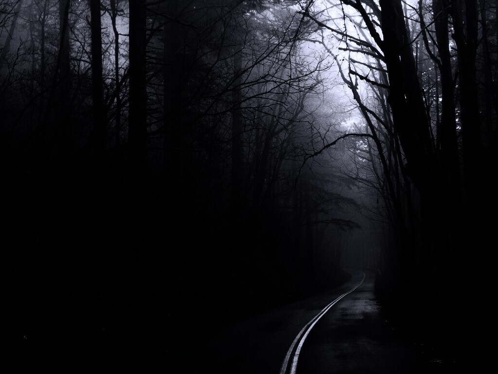 В туман обои