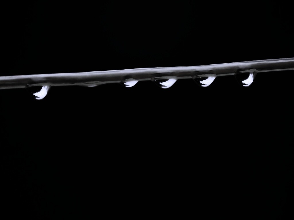 Капли на соломинке обои